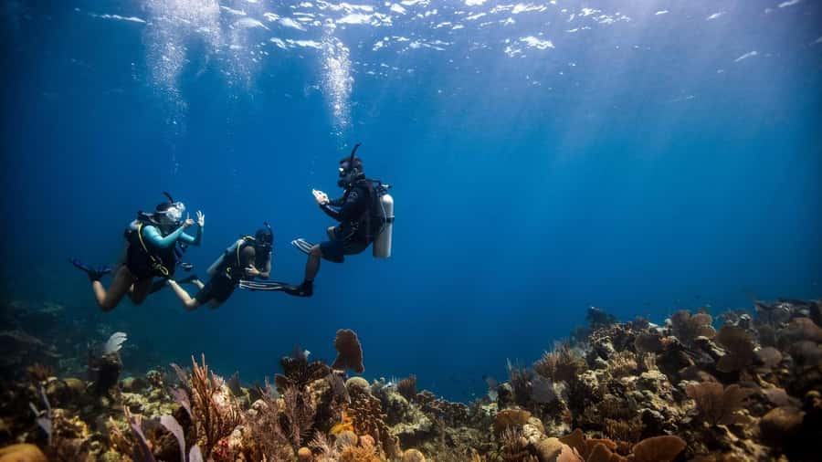 DISCOVER SCUBA DIVING IN LEMORNE with EasydiveMauritius - Key points to know before you book