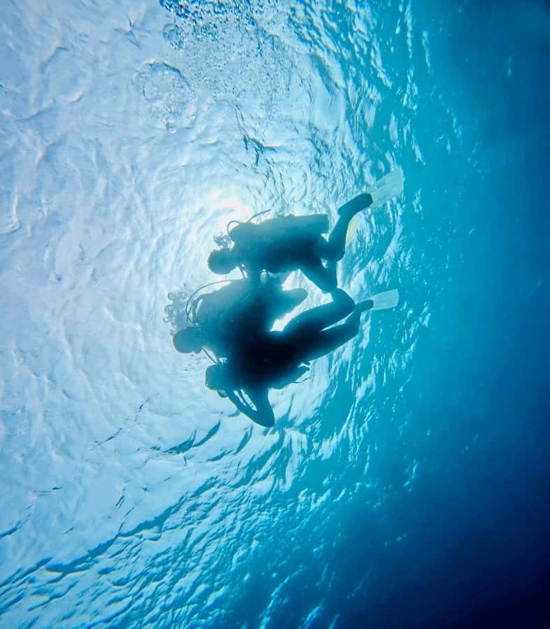 DISCOVER SCUBA DIVING IN LEMORNE with EasydiveMauritius - Why the two-hour format works