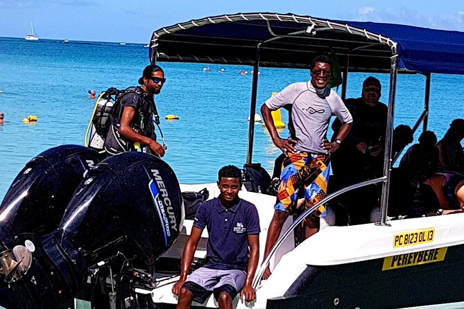 Discover Scuba Diving in Mauritius - What the marine life adds to the experience