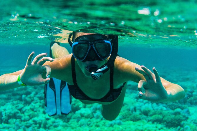Discover the East of Mauritius: Full-day All-inclusive tour (Visit to 3 parks) - Blue Bay Marine Park: glass-bottom viewing and snorkeling