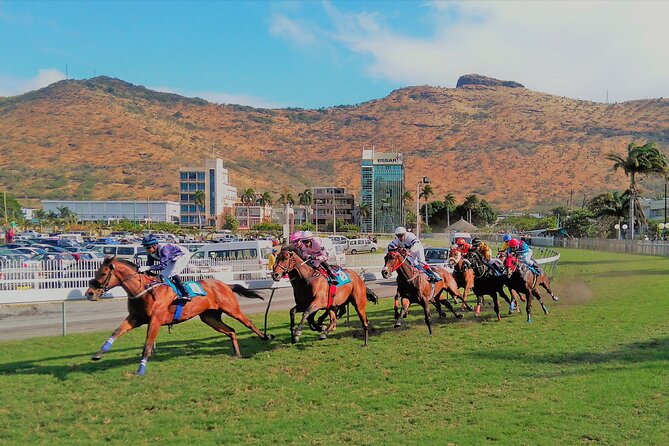 Discovering the North of Mauritius: Full-day incl Botanical garden & lunch - Fort Adelaide and the broad Port Louis view