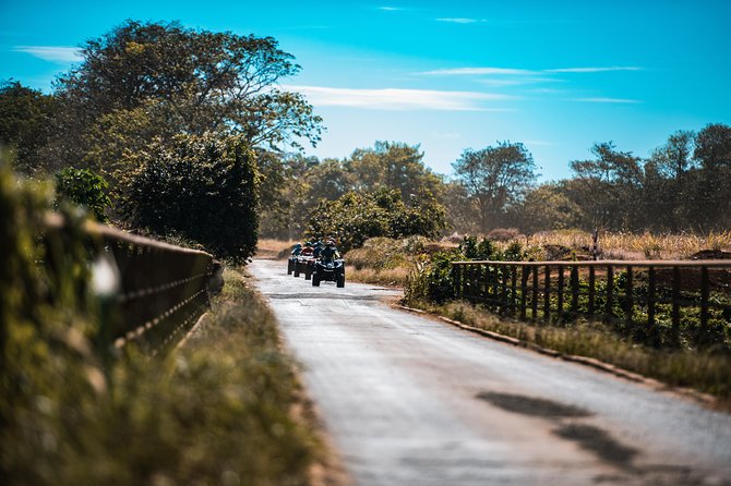 Discovery Tour 35km - Should you book the Discovery Tour 35km?