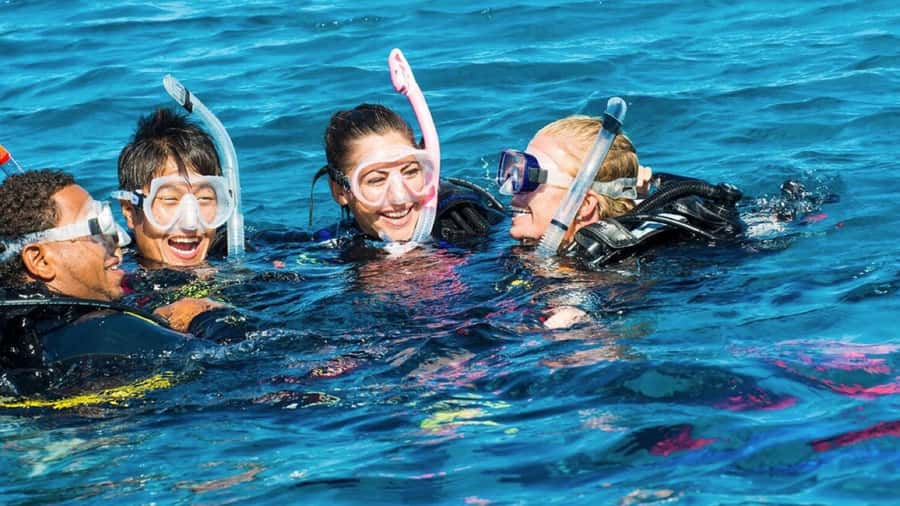 Diving in the North with Blue World Adventures - Key points at a glance