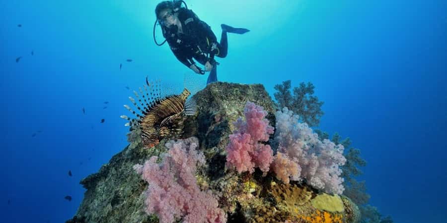 Diving in the North with Blue World Adventures - Why the shallow-water practice matters