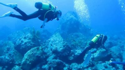 Diving in the North with Blue World Adventures