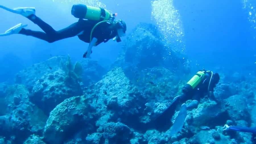Diving in the North with Blue World Adventures - What happens during the two hours