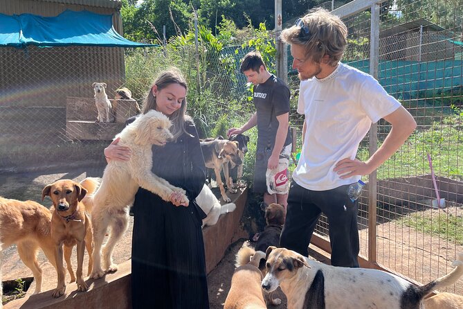 Dog Lover's guided tour of the Happy Tails Sanctuary - Meeting 130 rescue dogs at Baie du Cap