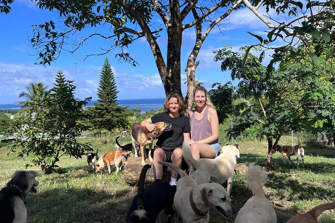 Dog Lover's guided tour of the Happy Tails Sanctuary - Why your visit supports local dog welfare