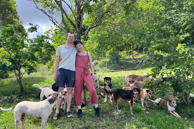 Dog Lover's guided tour of the Happy Tails Sanctuary - What the two-hour visit includes