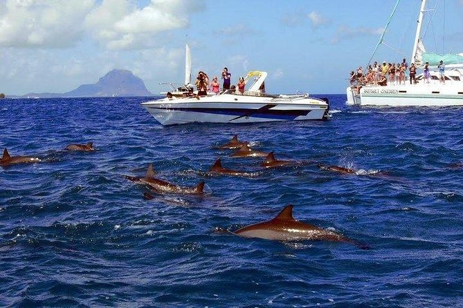 Dolphin Encounters, Ile aux Benitier & Crystal rock: Full-Day (Lunch & Transfer) - Guides, transfers, and group size