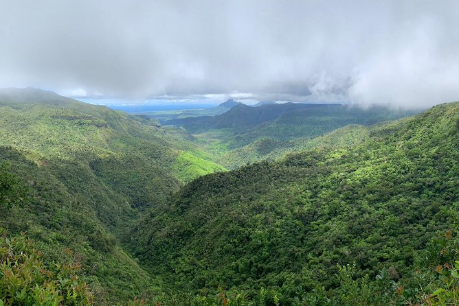 Dolphin Experience in Open Sea and South West Tour of Mauritius including Lunch - Black River Gorges and Alexandra Falls