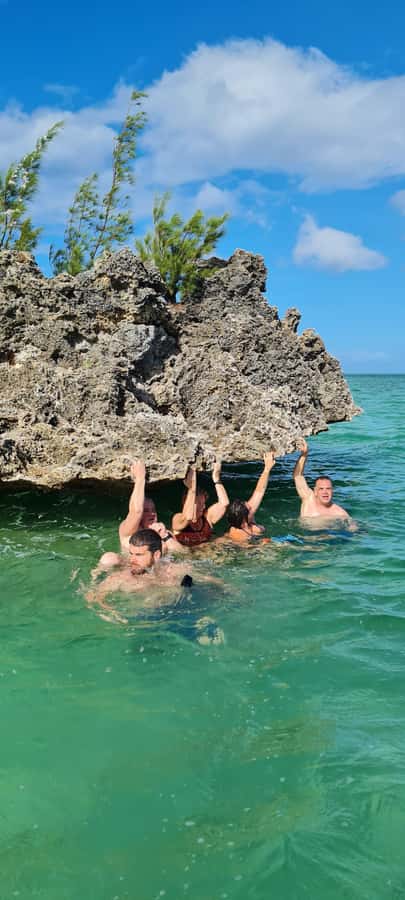 Dolphins: Private, Snorkel, CrystalRock, ileoBenitiers,lunch - A private day on Mauritius’s western coast