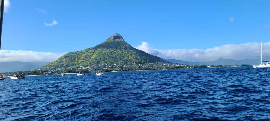 Dolphins & Whales, Private Tour Snorkeling - Who will enjoy this outing most