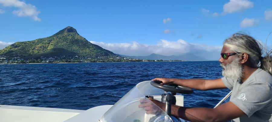 Dolphins & Whales, Private Tour Snorkeling - What to bring and what to confirm
