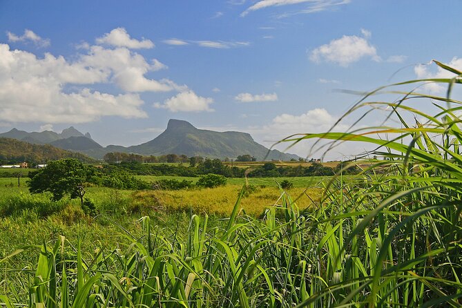 East of Mauritius: Full Day Scenic Tour with Lunch & Glass Bottom - Blue Bay brings the lagoon into view