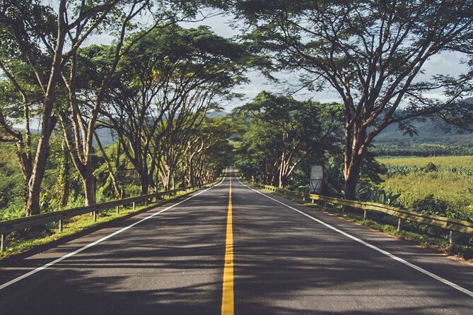 East of Mauritius: Full Day Scenic Tour with Lunch & Glass Bottom - The included lunch adds a useful taste of Mauritius