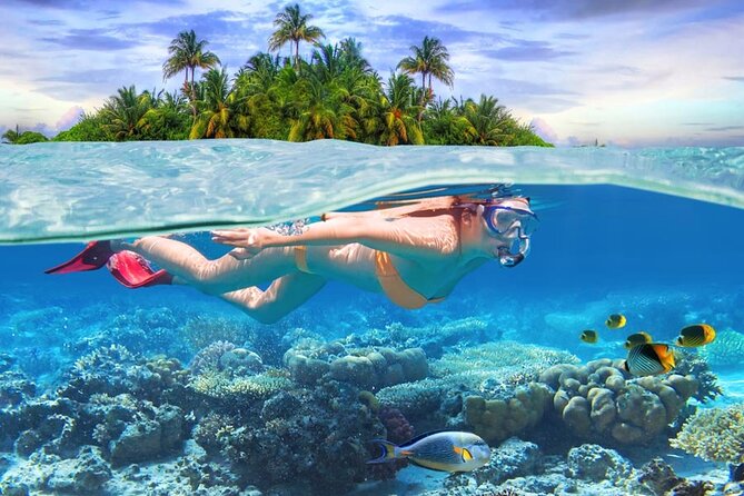 Eastern Treasures of Mauritius: incl Rhumerie St Aubin & Blue-Bay Marine Park - Mahebourg Market and local food