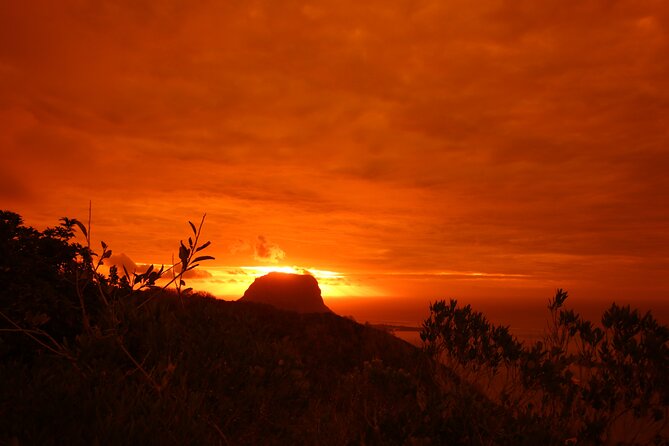 Ebony Forest Reserve Chamarel: Sublime Sundowner - Walking the 300-meter ebony walkway