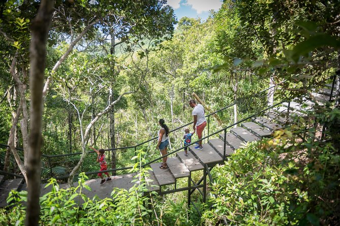 Ebony Forest Reserve Chamarel: Sublime Sundowner - The open-air Jeep ride after dark