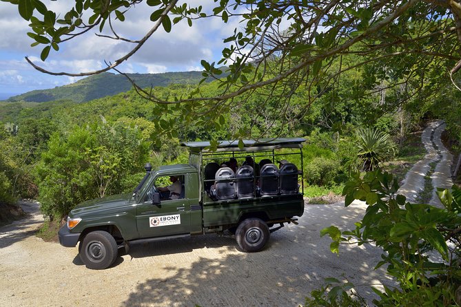 Ebony Forest Reserve Chamarel - Take a Hike Tour - Walking Above the Flycatcher Forest
