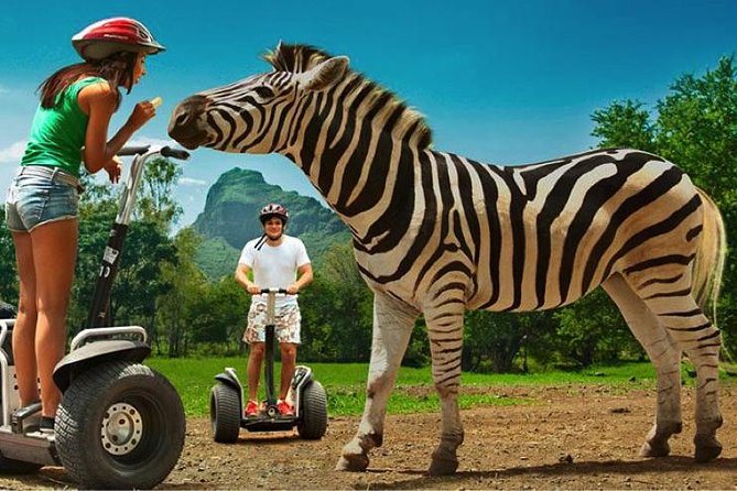 Enchanting South of Mauritius: Full-day tour Incl CASELA Park, Lunch & Transfer - Grand Bassin and the 33-meter Lord Shiva