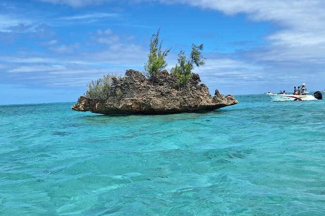 Exciting Dolphin encounters in the Maurtius's lagoon - How much value do you get for $58.07?