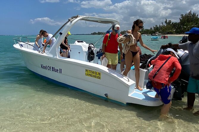 Exciting Dolphin encounters in the Maurtius's lagoon - Weather, boat traffic, and realistic expectations