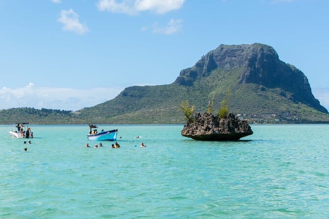 Exciting Dolphin encounters in the Maurtius's lagoon - Swimming with dolphins in small groups