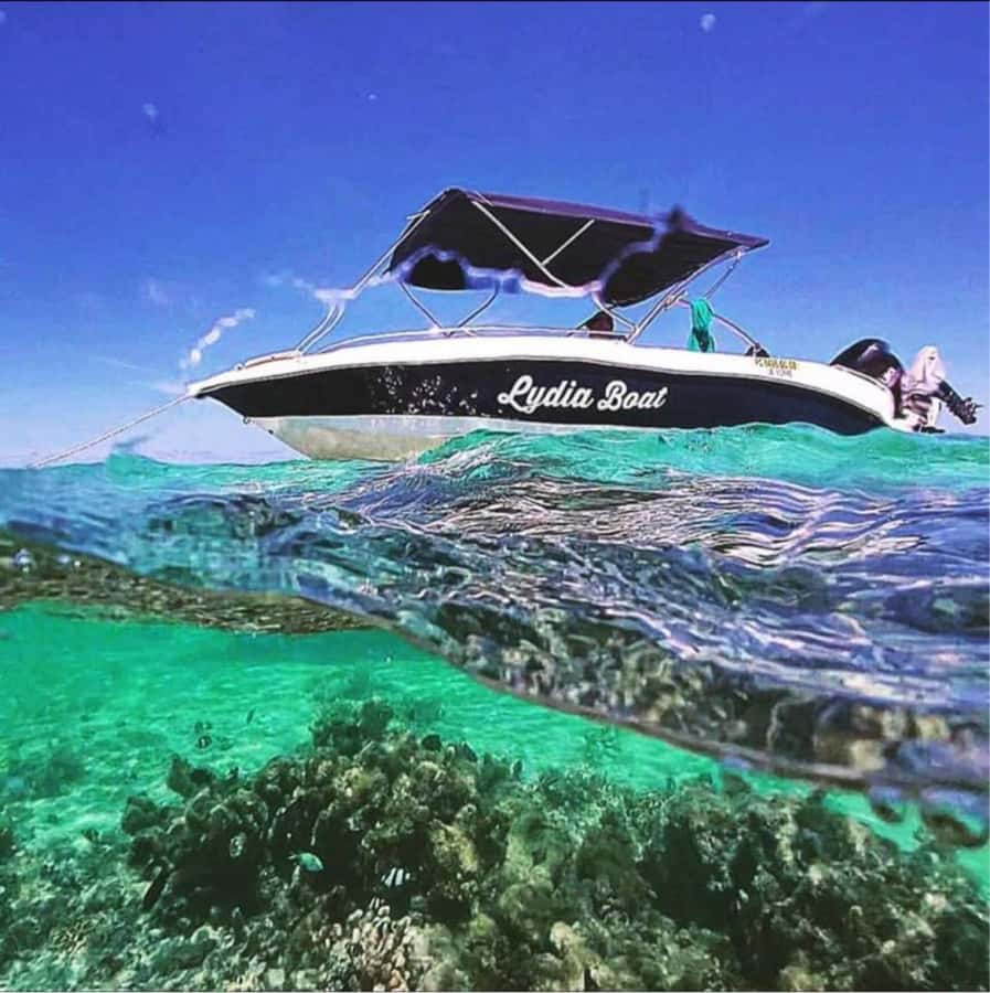Exclusive:full-day/Dolphins watch& swimming Crystal Rock+Bbq - Seeing Le Morne from the sea