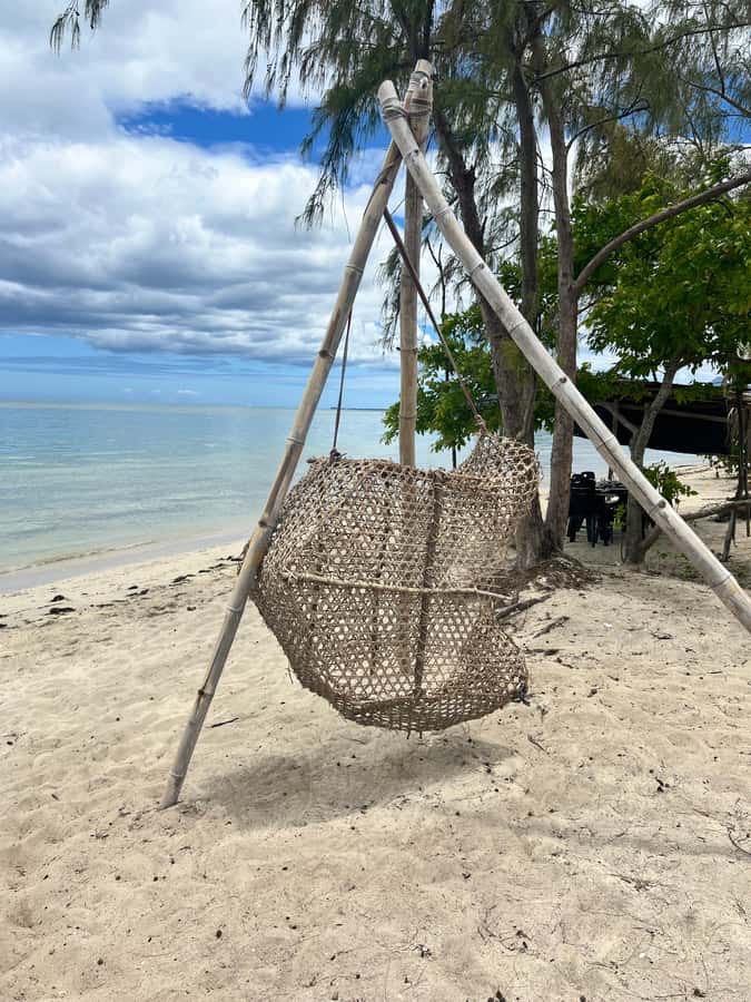 Exclusive:full-day/Dolphins watch& swimming Crystal Rock+Bbq - What the $293 price really covers