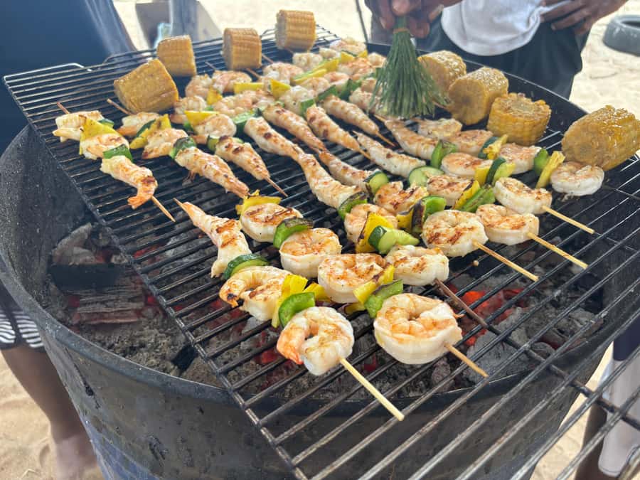 Exclusive:full-day/Dolphins watch& swimming Crystal Rock+Bbq - Watching wild dolphins in their own water