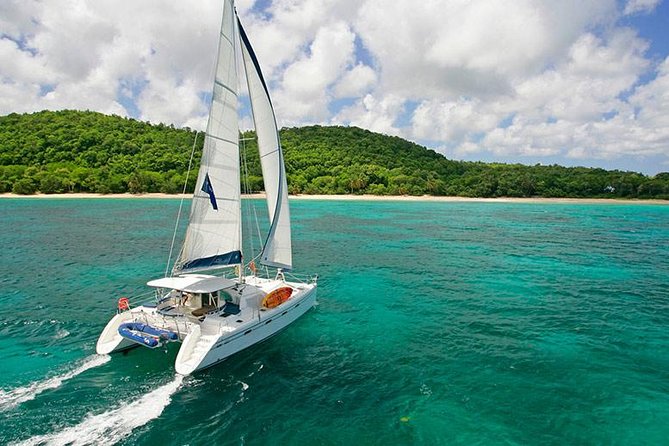 Exclusive Private Catamaran Adventure: Ile aux Cerf (Full Day Cruise incl Lunch) - Grand River South East waterfall by speedboat