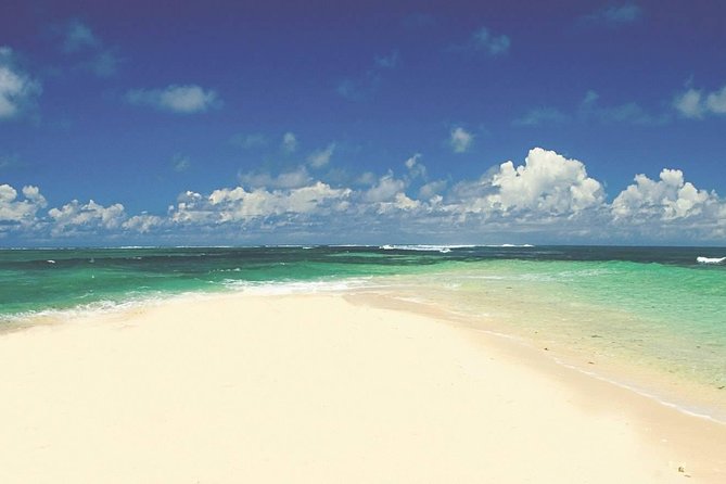 Exclusive Private Catamaran Adventure: Ile aux Cerf (Full Day Cruise incl Lunch) - Barbecue lunch and the included open bar