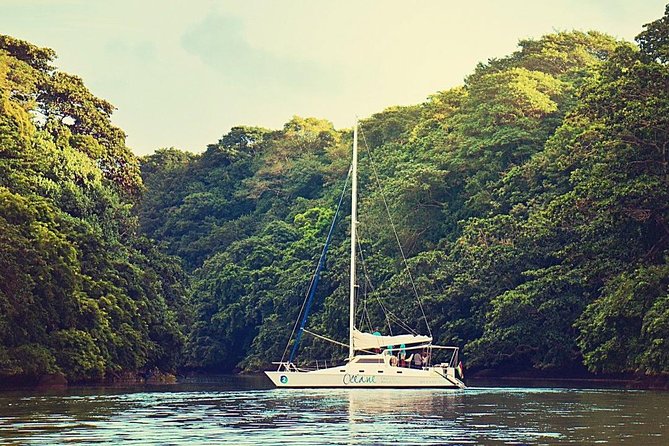 Exclusive Private Catamaran Adventure: Ile aux Cerf (Full Day Cruise incl Lunch) - Who will enjoy this private catamaran day