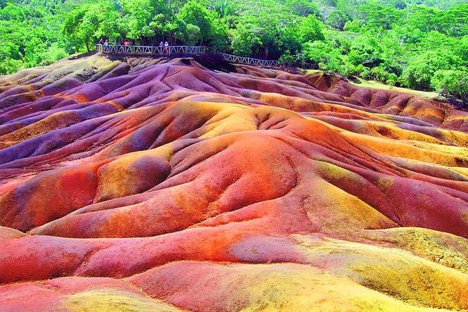 Exotic South: Journey into the Nature (Full-Day Tour incl Lunch & Ebony Forest) - Ebony Forest is the reason to choose this tour