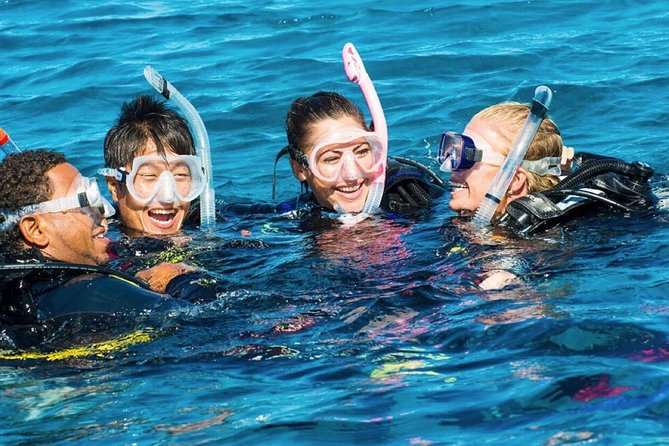 Exploration dives - What the southeast coast adds to your scuba outing