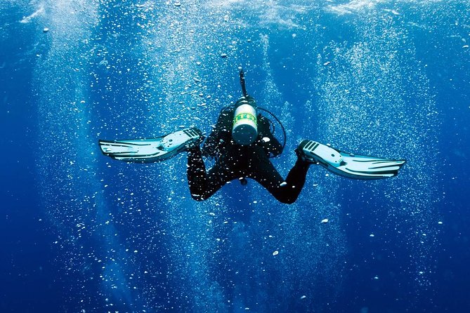Exploration dives - The two-hour plan, from fitting equipment to the boat ride