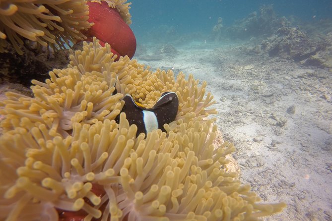 Exploration dives - Weather changes and cancellation terms