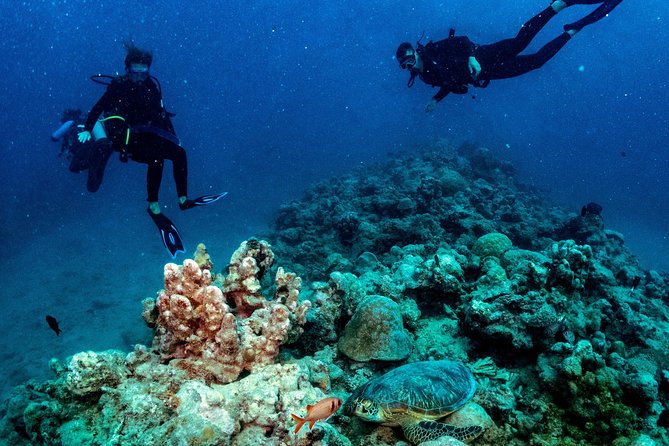 Exploration dives for experienced divers - Key points to know before you book