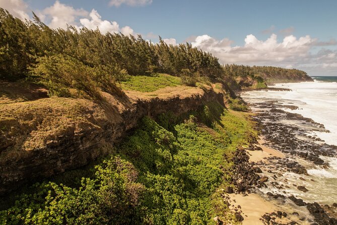 Explore The Wild South - Why Gris Gris is the right starting point