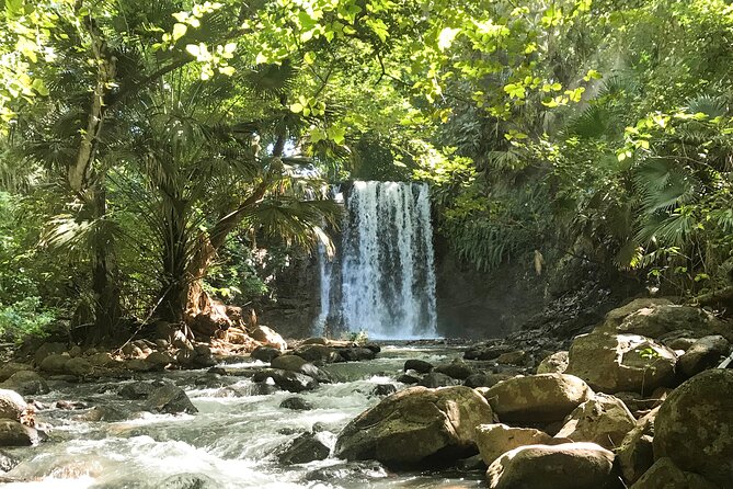 Explore The Wild South - Cascade Mamzelle, pools, and wet-foot walking