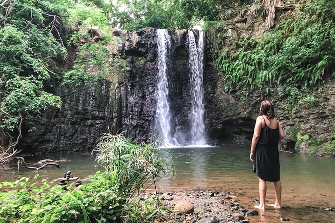 Explore The Wild South - Flora, fauna, and the value of a local guide