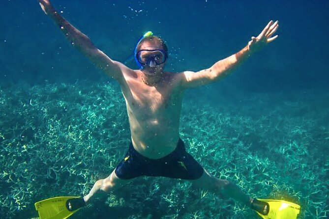 Exploring the Magnificent East of Mauritius: Full-day incl Blue Bay Marine Park - What the $111.28 price really covers