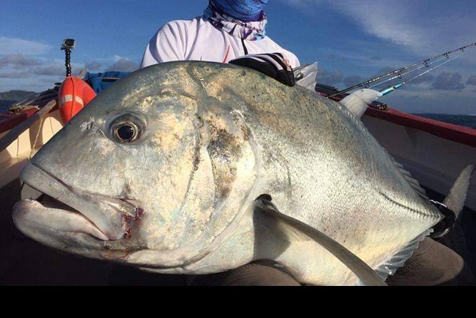 Fishing Trips. Popping, jigging, big game, live bait - A Rodrigues fishing day built around your target
