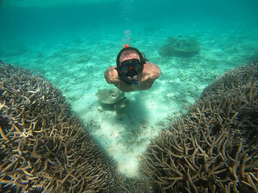 From Blue Bay: Ile aux Cerfs Speedboat Excursion with BBQ - Why this Blue Bay speedboat trip works well