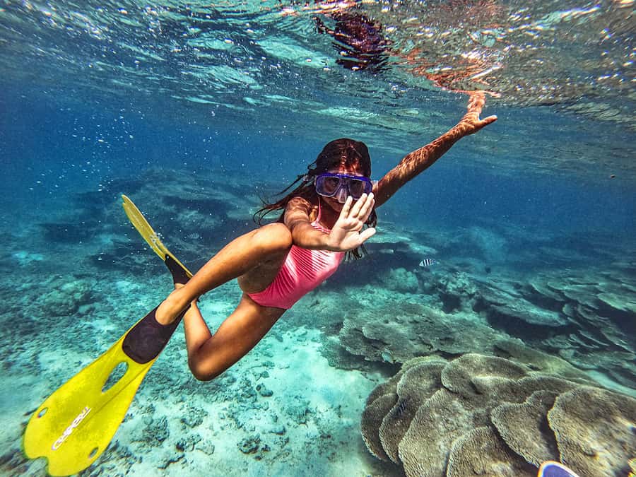 From Blue Bay: Ile aux Cerfs Speedboat Excursion with BBQ - Starting at Blue Bay Marine Park