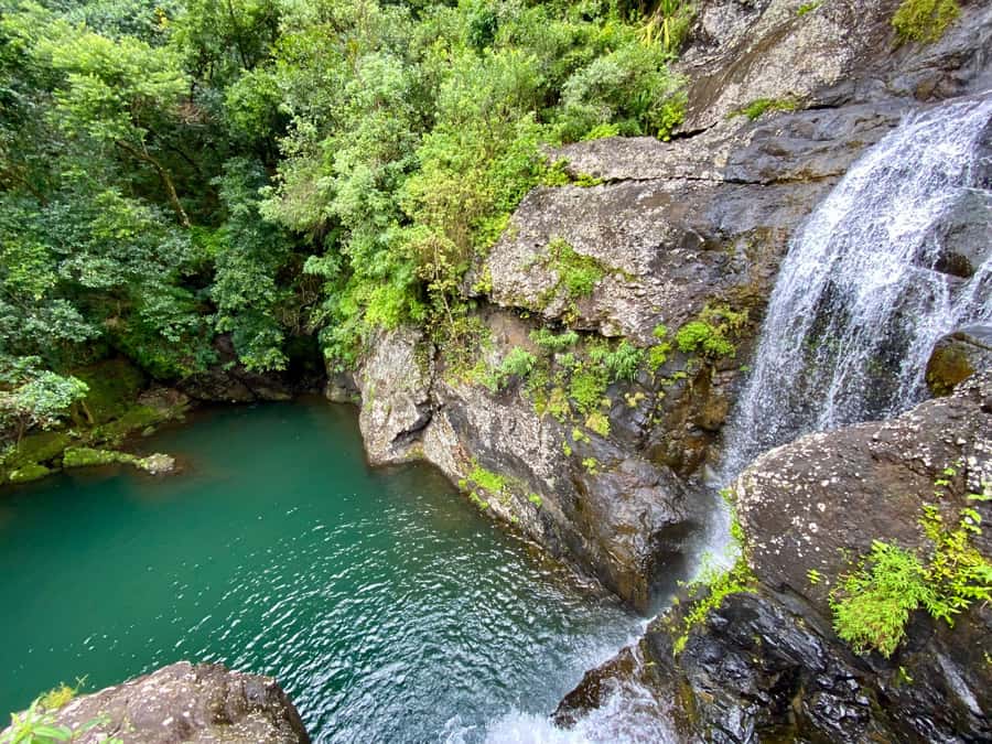 From Quatre Cocos: Tamarind Falls Hiking Day Trip - Key points to know before you book