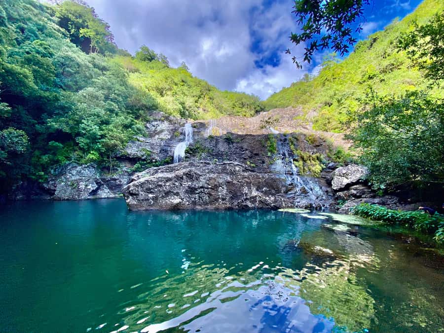 From Quatre Cocos: Tamarind Falls Hiking Day Trip - The ride from Quatre Cocos