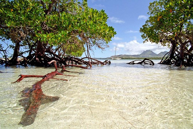 Full-Day At Ile Aux Cerf: Speed Boat, GRSE, Lunch On A Private Island & Transfer - The speedboat ride to Ile aux Cerfs