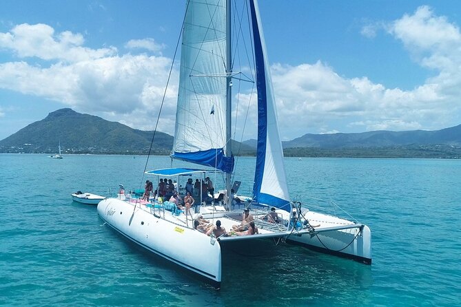 Full Day Catamaran Cruise on shared basis to Bénitiers Island - Practical details that shape the day